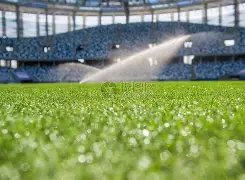 崔康熙今日,赛前亮相发,布会,pa真人,pa真人真人,pa真人电子,PlayAce