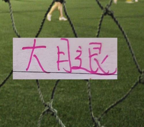 真人体育,资讯,pa真人体育,pa真人,pa真人真人,pa真人电子,PlayAce