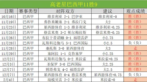 [国内足球]“村界杯”新春足球盛宴热烈开赛